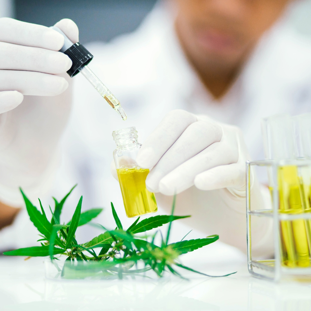 ¿Qué dolores puede tratar el CBD?