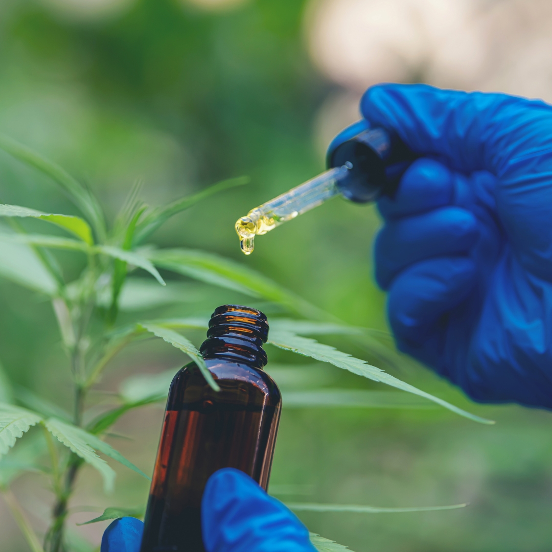 ¿Qué dolores puede tratar el CBD?