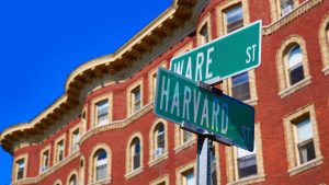 Estudios Sobre CBD en Harvard